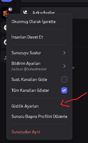 Gizlilik Ayarları Menüsü